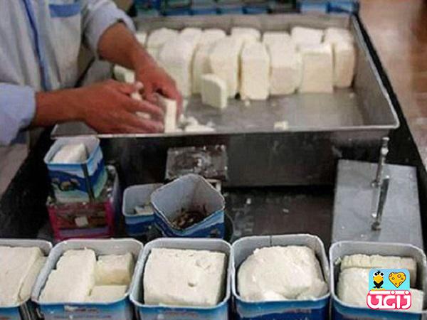 خرید پنیر سنتی در تبریز در بسته های متفاوت