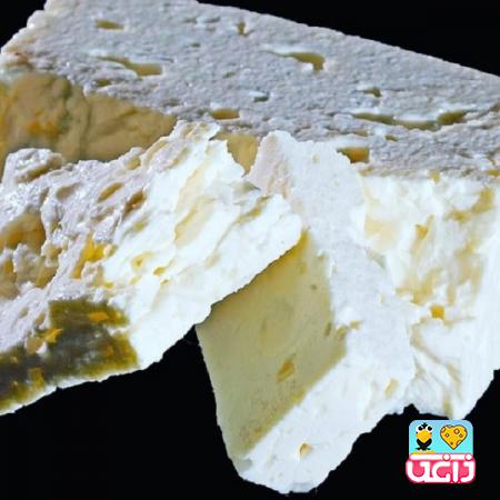انواع روش های پخش کردن پنیر در کرج