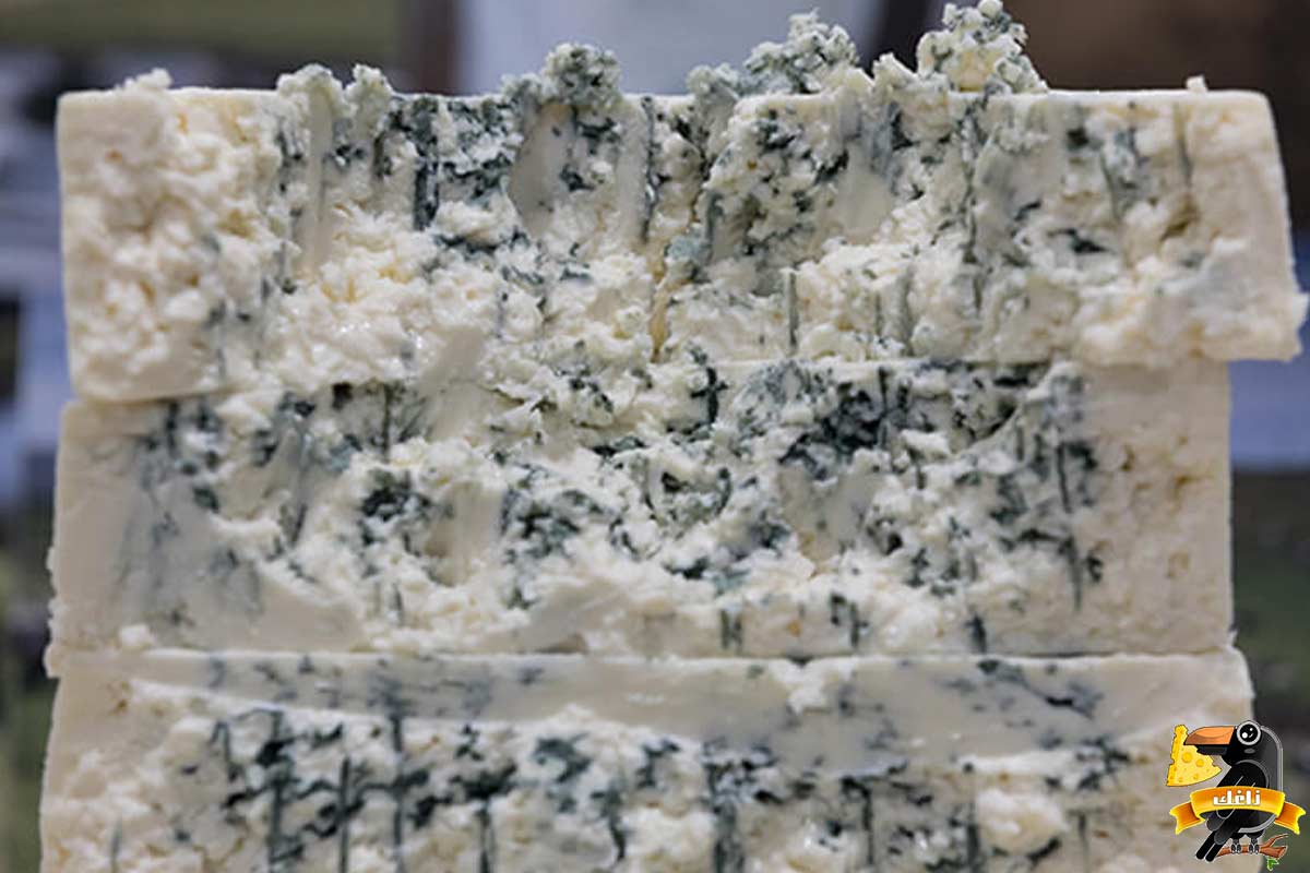 چگونه کپک پنیر را از بین ببریم